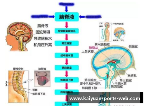 防守型球员手部保护技术发展与运动表现关系研究